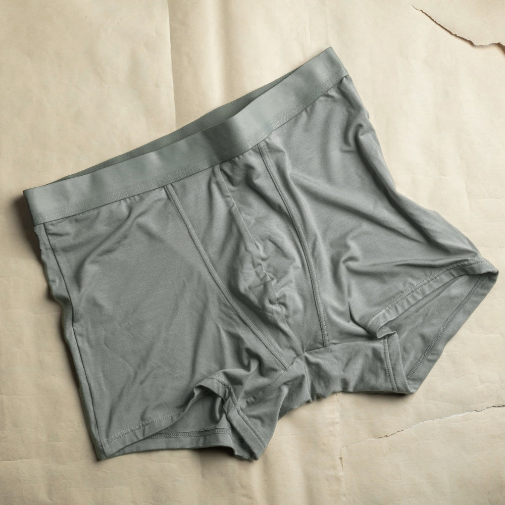 Honozy boxer HANARE