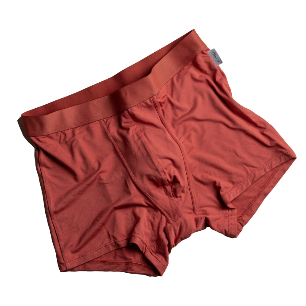 Honozy boxer IROMI