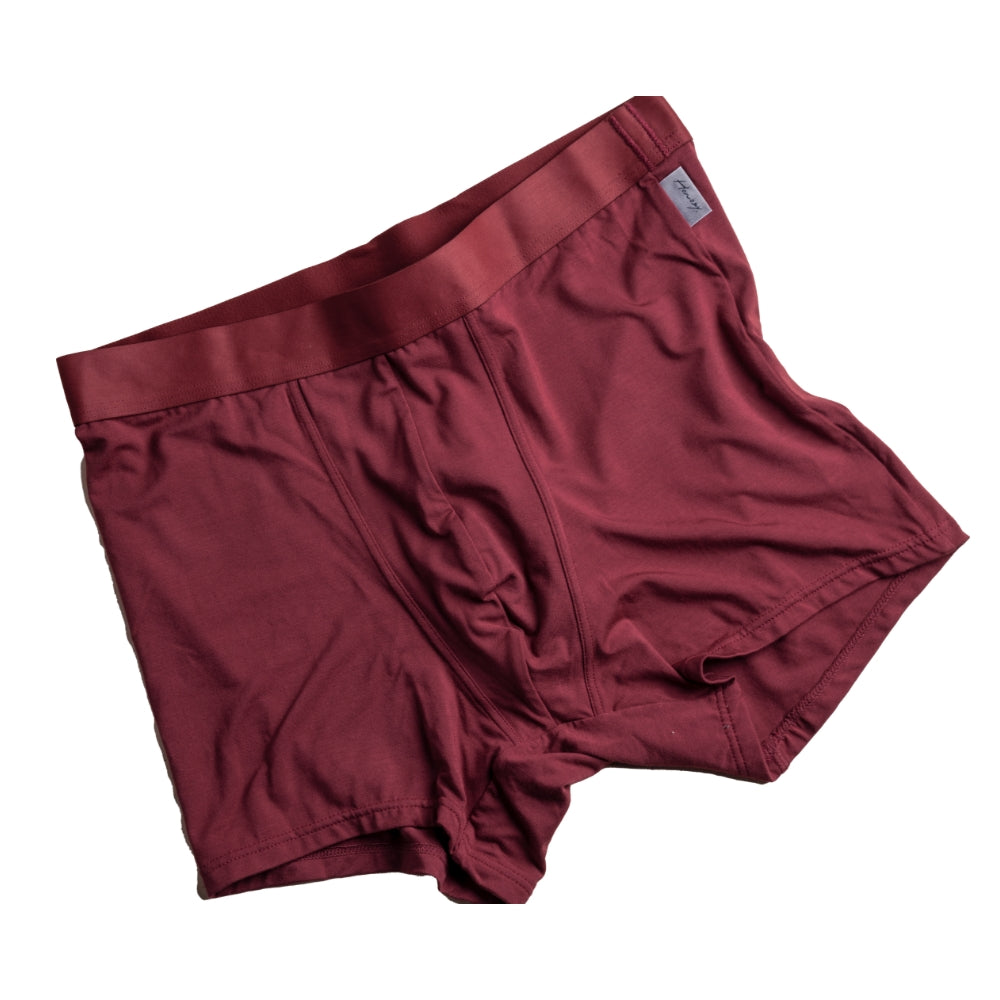 Honozy boxer IROMI